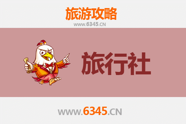重庆巴南本地旅行社推荐：探索山水之城的完美伴侣